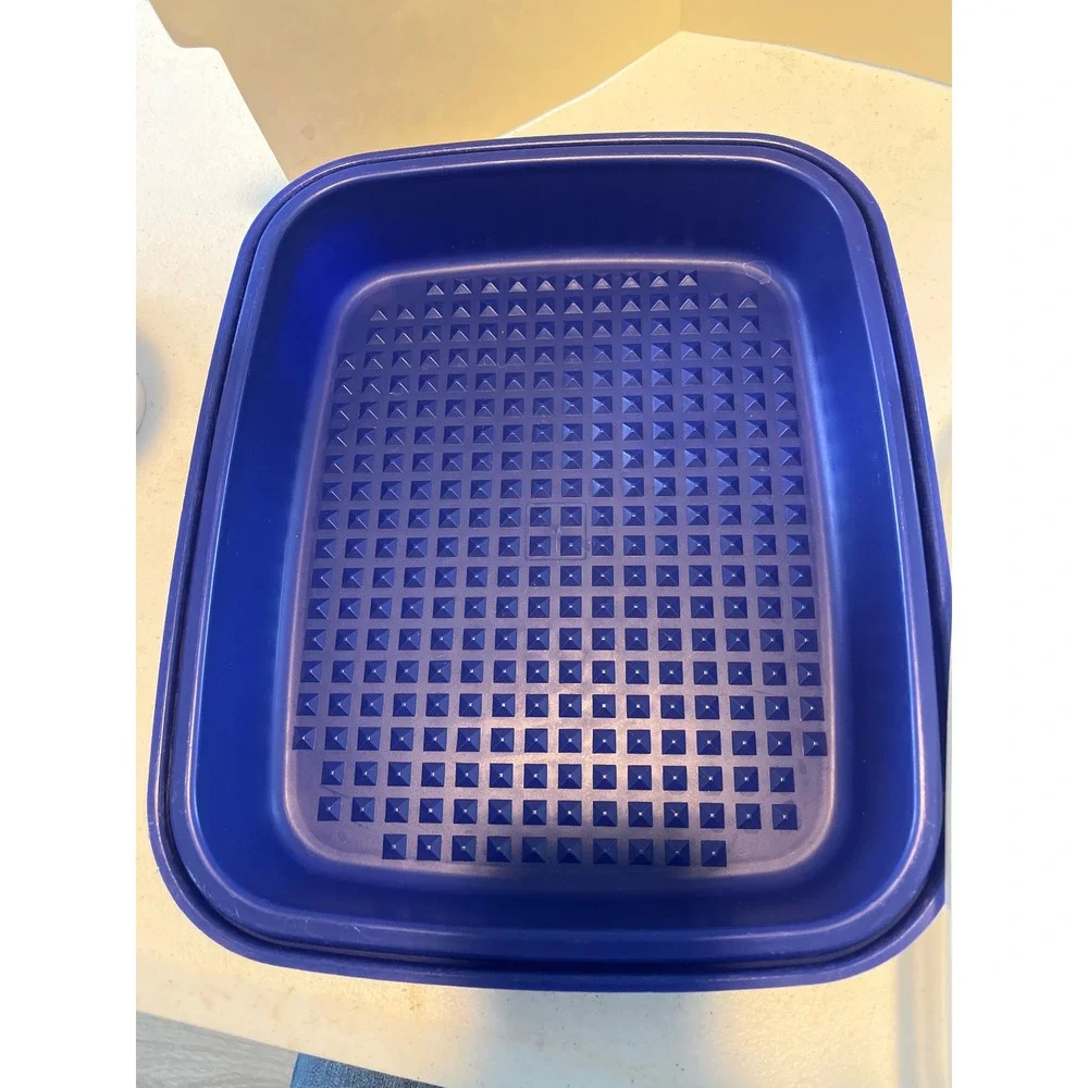 Tupperware Season Serve Marinating Container Blue Square Large Meat Marinater